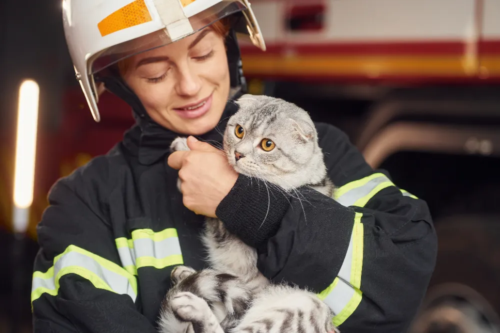 Katzenrettung durch Feuerwehr | Erste Hilfe Neuss